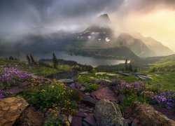 Stany Zjednoczone, Stan Montana, Park Narodowy Glacier, Jezioro, Hidden Lake, Góry, Las, Drzewa, Kwiaty, Wschód słońca, Mgła, Chmury