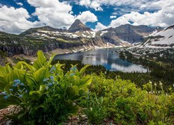 Góry, Jezioro Hidden Lake, Drzewa, Chmury, Park Narodowy Glacier, Stan Montana, Stany Zjednoczone