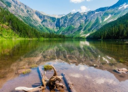 Jezioro Hidden Lake w Parku Narodowym Glacier w Montanie