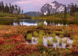 Jezioro Highwood Lake, Góry, Góra Shuksan, Trawy, Drzewa, Park Narodowy Północnych Gór Kaskadowych, Stan Waszyngton, Stany Zjednoczone