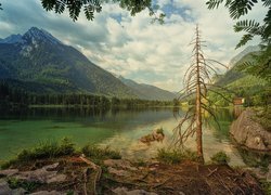 Góry Alpy, Jezioro Hintersee, Lasy, Drzewo, Gmina Ramsau bei Berchtesgaden, Bawaria, Niemcy