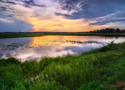 Jezioro i trawa w blasku zachodzącego słońca