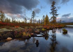 Rosja, Obwód magadański, Jesień, Jezioro Jack London Lake, Drzewa