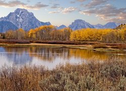 Jesień, Park Narodowy Grand Teton, Góry, Teton Range, Pożółkła, Trawa, Drzewa, Topole osikowe, Jezioro, Jackson Lake, Stan Wyoming, Stany Zjednoczone