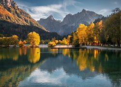 Góry, Alpy Julijskie, Jezioro Lake Jasna, Drzewa, Jesień, Gmina Kranjska Gora, Słowenia