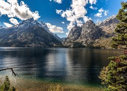 Stany Zjednoczone, Stan Wyoming, Park Narodowy Grand Teton, Jezioro Jenny Lake, Góry, Drzewa