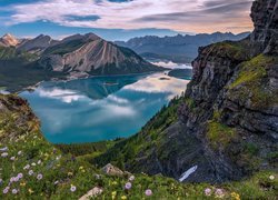 Kanada, Jezioro Upper Kananaskis Lake, Park Prowincjonalny Petera Lougheeda, Kwiaty, Góry, Chmury