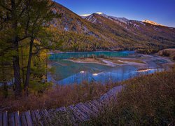 Chiny, Hrabstwo Xinjiang, Okręg Burqin, Jezioro, Kanas Lake, Góry, Drzewa