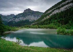 Szwajcaria, Kanton Valais, Góry, Alpy Berneńskie, Jezioro, Lac de Derborence, Lasy