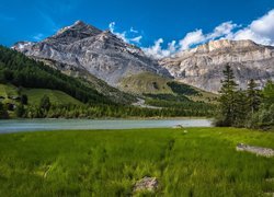 Szwajcaria, Kanton Valais, Alpy Berneńskie, Pasmo Les Diablerets, Jezioro Lac de Derborence, Góry, Rzeka, Świerki, Trawa