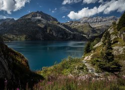 Góry Alpy, Jezioro Lac dEmosson, Świerki, Trawa, Chmury, Kanton Valais, Szwajcaria