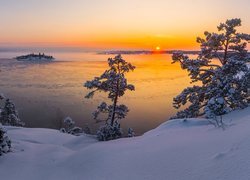 Wschód słońca, Zima, Jezioro Ładoga, Wyspa, Drzewa, Śnieg, Karelia, Rosja