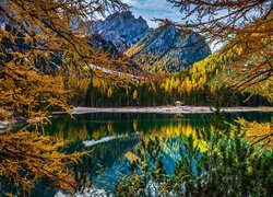 Jezioro, Pragser Wildsee, Lago di Braies, Góry, Dolomity, Tyrol, Włochy, Jesień, Drzewa