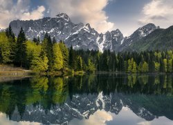 Góry, Alpy Julijskie, Las, Drzewa, Jezioro, Lago di Fusine, Chmury, Prowincja Udine, Włochy
