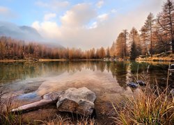 Jezioro Lago di San Pellegrino, Dolina Vall di Fassa, Kamienie, Szuwary, Góry Dolomity, Drzewa, Las, Chmury, Mgła, Trydent-Górna Adyga, Włochy