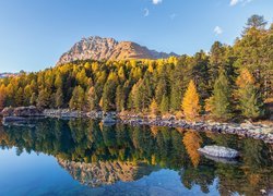 Szwajcaria, Kanton Gryzonia, Góry Alpy, Dolina Val di Campo, Jezioro Lago di Saoseo, Kamienie, Drzewa, Jesień, Odbicie