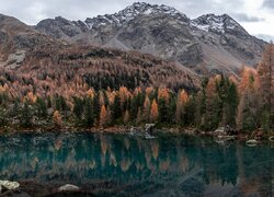 Jesień, Góry, Jezioro Saoseo, Kolorowe, Drzewa, Szwajcaria