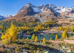 Szwajcaria, Gryzonia, Góry Alpy, Dolina Val Poschiavo, Jezioro Lago di Val Viola, Drzewa, Jesień, Kamienie