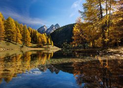 Szwajcaria, Kanton Gryzonia, Przełęcz Albulapass, Jesień, Jezioro  Lai da Palpuogna, Góry Albula-Alpen, Drzewa
