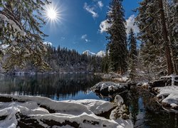 Zima, Jezioro, Lake Cresta, Promienie słońca, Las, Drzewa, Śnieg, Kanton Gryzonia, Szwajcaria
