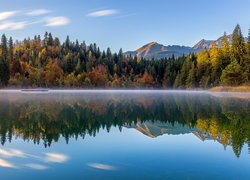 Jezioro, Lake Cresta, Góry, Las, Drzewa, Jesień, Kanton Gryzonia, Szwajcaria