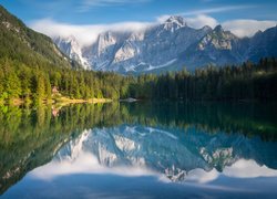 Las, Drzewa, Góry, Alpy Julijskie, Jezioro, Lake Fusine, Odbicie, Włochy