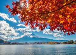 Stratowulkan, Góra Fudżi, Jezioro, Lake Kawaguchi, Gałęzie, Kolorowe, Liście, Chmury, Wyspa Honsiu, Japonia