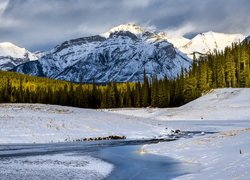 Park Narodowy Banff, Zima, Las, Drzewa, Jezioro, Lake Minnewanka, Góry, Palliser Range, Góra Mount Astley, Prowincja Alberta, Kanada