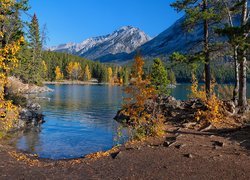 Jezioro, Lake Minnewanka, Wysepka, Góry Skaliste, Drzewa, Gałęzie, Park Narodowy Banff, Alberta, Kanada
