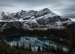 Kanada, Kolumbia Brytyjska, Park Narodowy Yoho, Jezioro, Lake OHara, Góry, Canadian Rockies, Las, Drzewa