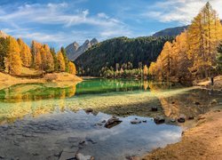 Jezioro, Lai da Palpuogna, Góry, Alpy Retyckie, Drzewa, Jesień, Gryzonia, Szwajcaria