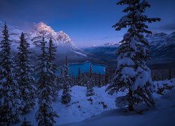 Góry Skaliste, Jezioro, Lake Peyto, Lasy, Ośnieżone, Drzewa, Świerki, Zima, Śnieg, Park Narodowy Banff, Prowincja Alberta, Kanada