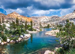 Góry, Sierra Nevada, Jezioro, Lake Tahoe, Drzewa, Sosny, Kalifornia, Stany Zjednoczone