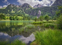 Góry, Alpy Berneńskie, Jezioro Lauenensee, Drzewa, Trawa, Gmina Lauenen, Szwajcaria
