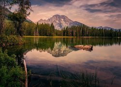 Stany Zjednoczone, Stan Wyoming, Park Narodowy Grand Teton, Jezioro Leigh Lake, Góry, Lasy, Drzewa