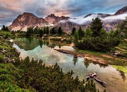Jezioro, Limides Lago, Góry, Dolomity, Mgła, Drzewa, Krzewy, Tyrol, Włochy