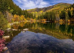 Stany Zjednoczone, Stan Kolorado, Jezioro Lizard Lake, Wzgórza, Jesień, Drzewa