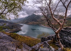 Walia, Park Narodowy Snowdonia, Góry, Jezioro Llyn Peris, Drzewa, Skały