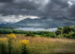 Irlandia, Hrabstwo Kerry, Góry, Jezioro, Lough Leane, Park Narodowy Killarney, Ciemne, Chmury, Drzewa, Rośliny