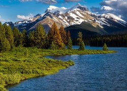 Park Narodowy Jasper, Góry, Jezioro, Maligne Lake, Drzewa, Prowincja Alberta, Kanada