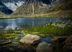 Jezioro Marjelensee, Kamienie, Rośliny, Trawa, Góry, Alpy Berneńskie, Kanton Wallis, Szwajcaria