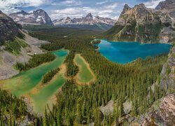 Góry, Jezioro, Mary Lake, Jezioro OHara, Las, Drzewa, Park, Park Narodowy Yoho, Kanada