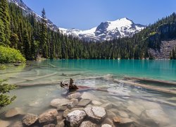 Kanada, Kolumbia Brytyjska, Park Prowincjonalny Joffre Lakes, Jezioro Middle Joffre, Brzeg, Kamienie, Las, Góry