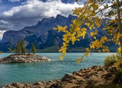 Lake Minnewanka, Wysepka, Góry Skaliste, Drzewa, Gałęzie, Park Narodowy Banff, Alberta, Kanada