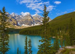 Góry, Jezioro, Moraine Lake, Las, Drzewa, Świerki, Park Narodowy Banff, Prowincja Alberta, Kanada
