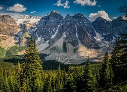 Las, Drzewa, Kanadyjskie Góry Skaliste, Jezioro Moraine, Dolina Dziesięciu Szczytów, Park Narodowy Banff, Prowincja Alberta, Kanada
