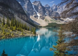 Kanada, Park Narodowy Banff, Góry, Jezioro Moraine, Drzewa