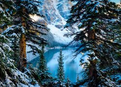 Kanada, Prowincja Alberta, Park Narodowy Banff, Jezioro Moraine, Góry, Drzewa, Zima
