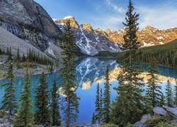 Kanada, Prowincja Alberta, Park Narodowy Banff, Jezioro Moraine, Drzewa, Świerki