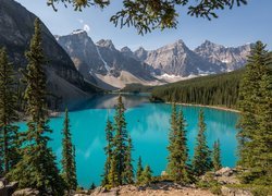 Kanada, Alberta, Park Narodowy Banff, Jezioro Moraine, Las, Drzewa, Góry